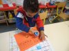 SAM_5975