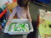 SAM_8407
