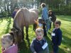 SAM_9561