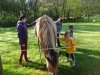 SAM_9562