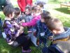 SAM_9572