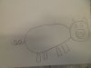 SAM_9106