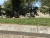 IMG_0666