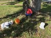 IMG_0668