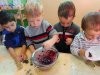 DSCN3103