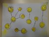 SAM_5641