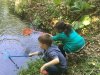 IMG-4831
