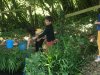 IMG-4832