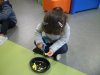 SAM_6278