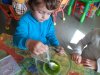 SAM_6993
