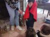 2chaperon