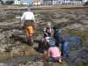 peche-a-pied-28-avril-1