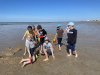 4_matinee-sur-la-plage-29-avril-12
