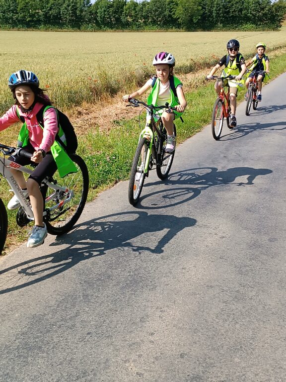 sortie vélo (49)