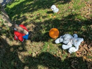 Les “mascottes” des classes de Maternelle ont disparu… Un jeu de piste pour les retrouver