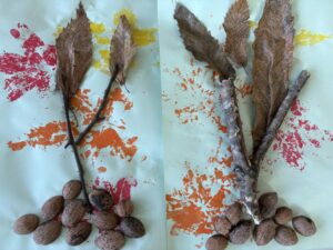 Cahier de vie de la classe des TPS-PS-MS 1 : Semaine du 03 au 14 Novembre